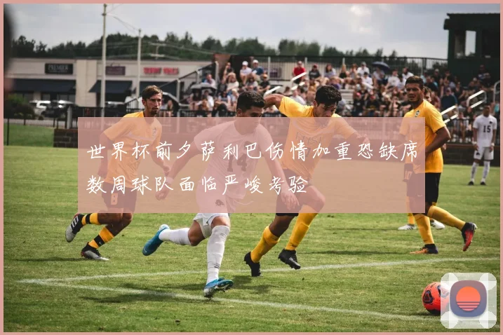世界杯前夕萨利巴伤情加重恐缺席数周球队面临严峻考验